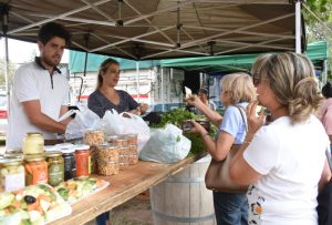 Este jueves se viene una nueva feria de “Sol Puntano”